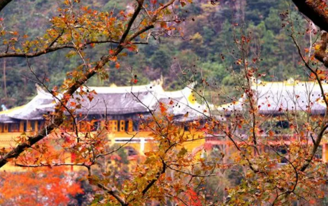 温州地区十大秋季旅游景点，温州秋天好玩的地方