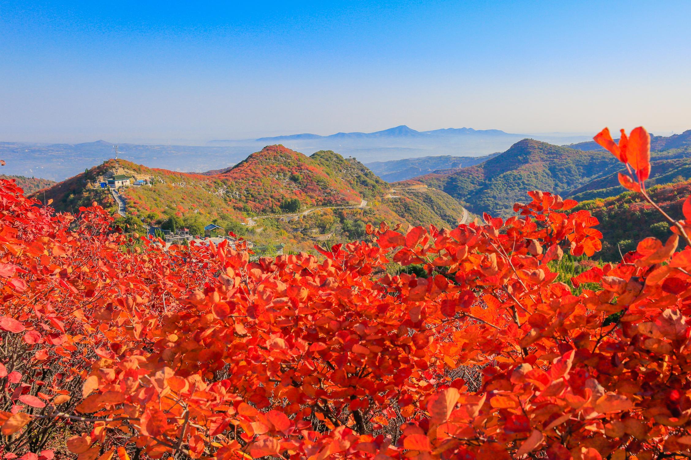 河南秋季旅游好去处，河南适合秋季旅游10个地方