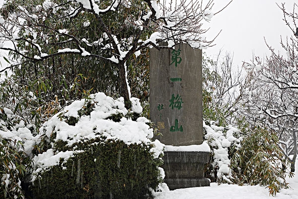 南京十大看雪好去处，南京十大最佳赏雪的景点