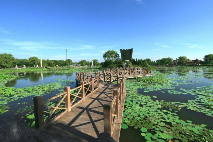 潍坊夏季旅游景点排行榜前十名 潍坊好玩的景点有哪些