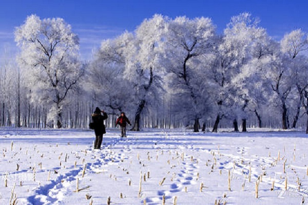 国内赏雪景点排名，中国十大赏雪胜地