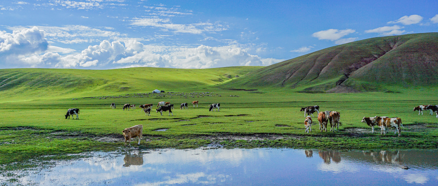 秋季旅游景点排名前十，秋季旅游景点推荐