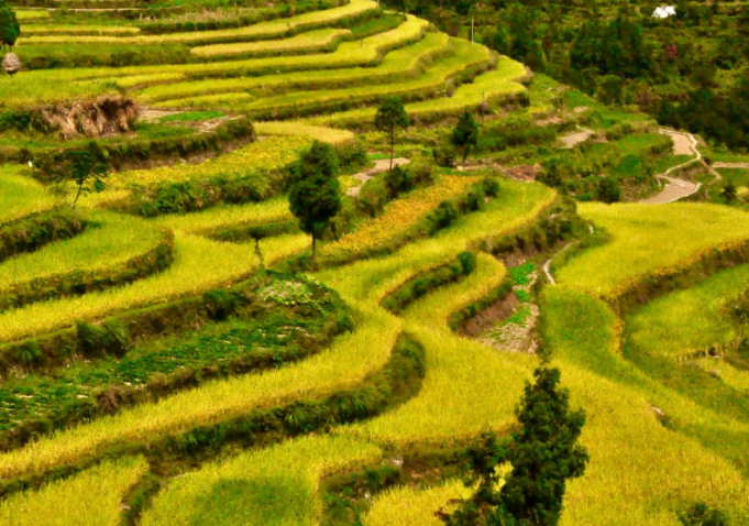 温州地区十大秋季旅游景点，温州秋天好玩的地方