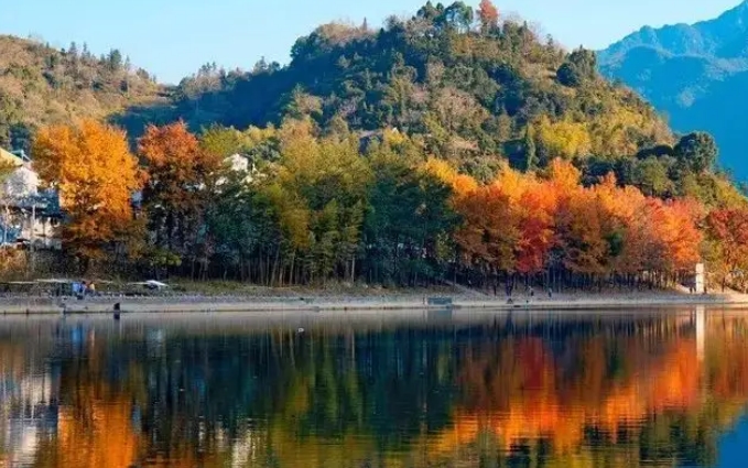 温州地区十大秋季旅游景点，温州秋天好玩的地方