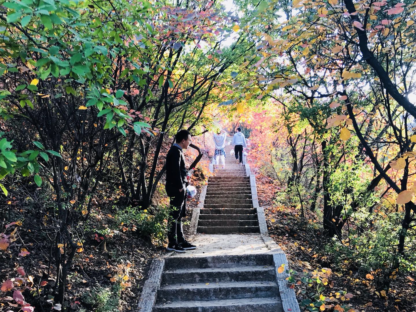 河南秋季旅游好去处，河南适合秋季旅游10个地方