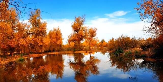 秋季旅游景点推荐，秋季旅游好去处