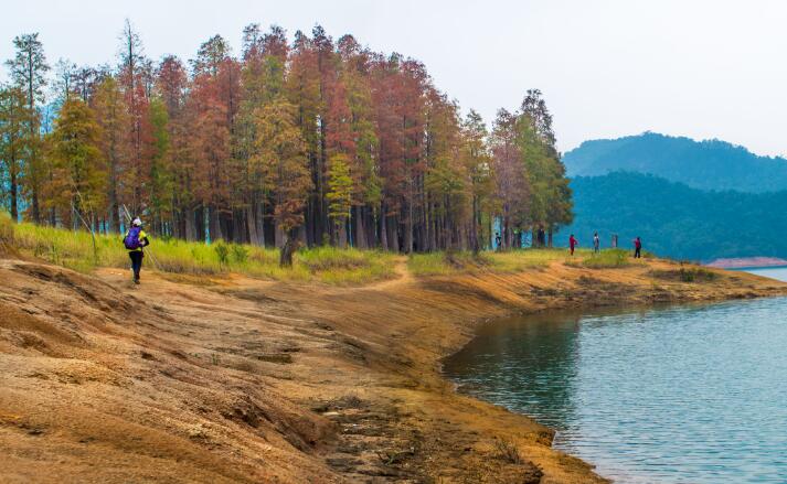 中山秋天最美的10个景点，中山十大秋季旅游景点