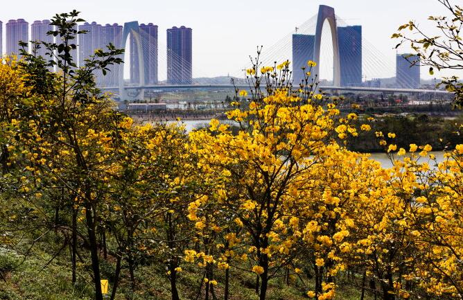 南宁十大秋季旅游景点，南宁秋游最好的地方