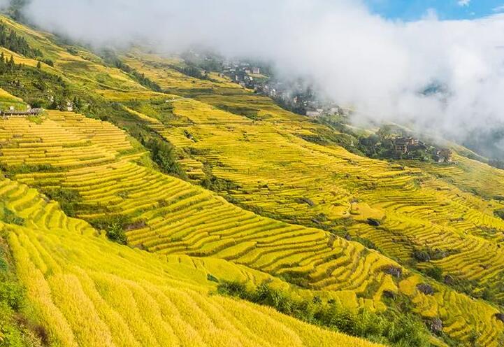 桂林秋季旅游攻略，桂林十大秋季旅游景点