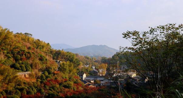 宁波秋季旅游景点排行，宁波十大秋季旅游好去处